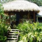Mango Tourist Hostel - Accommodation Cooktown 0