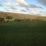 Mancuso Country Cottage Retreat - Accommodation Cooktown 0