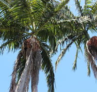 Tri Byron Bay - Accommodation Cooktown