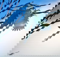 Tenterfield Cottage Holiday House - Accommodation Cooktown