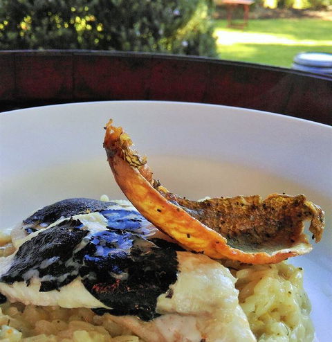 Arimia Restaurant And Winery - Accommodation Cooktown 26