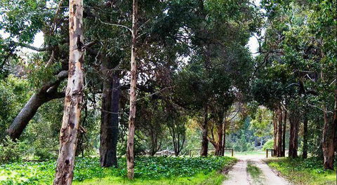 Arimia Restaurant And Winery - Accommodation Cooktown 7