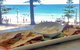 Havana Beach Cafe & Lounge - thumb 0