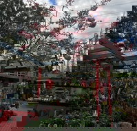 Beasleys Tea House - Accommodation Cooktown