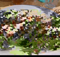 Food for All Seasons - Accommodation Cooktown