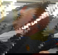 Ming's Chinese Restaurant - Accommodation Cooktown