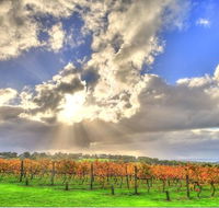 Max's at Red Hill Estate