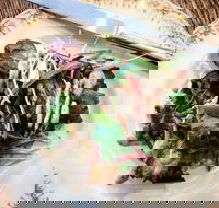 Frank and Connie's Kitchen - Accommodation Cooktown