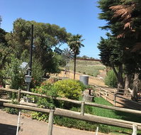 Moorabool Valley Chocolate - Accommodation Cooktown