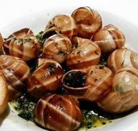 Little Snail - Accommodation Cooktown