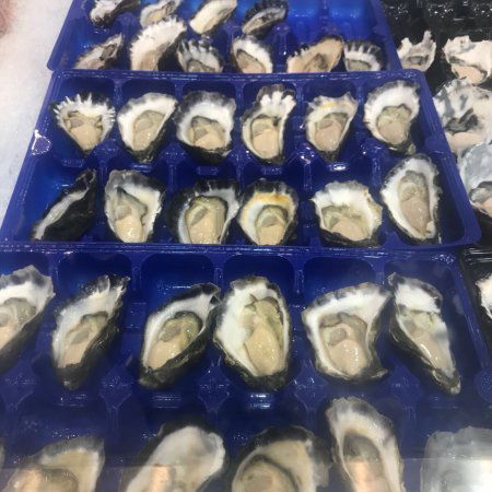 Sea Emperor - Accommodation Cooktown 0