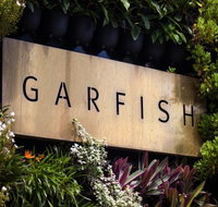Garfish - Accommodation Cooktown