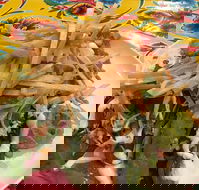 Mu Cha Cha Mexican Kitchen