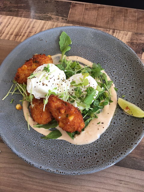 Fuzzy Duck - Accommodation Cooktown 1