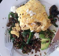 Prikly Pair Cafe - Accommodation Cooktown