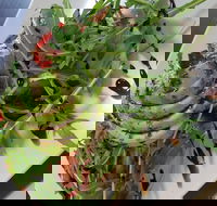 DeliLicious Bundanoon