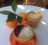 The Orange Tree - licensed cafe by the river - Accommodation Cooktown