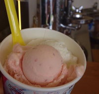 Bermagui Gelati Clinic - Accommodation Cooktown