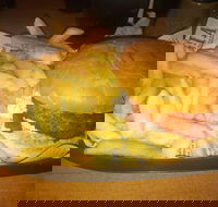 Finn  Co Cafe - Accommodation Cooktown