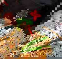 Thai Square Springwood - Accommodation Cooktown