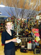 North Arm Cove Restaurants and Takeaway Accommodation Cooktown Accommodation Cooktown