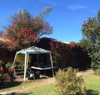 Tutti Fruitti - Accommodation Cooktown