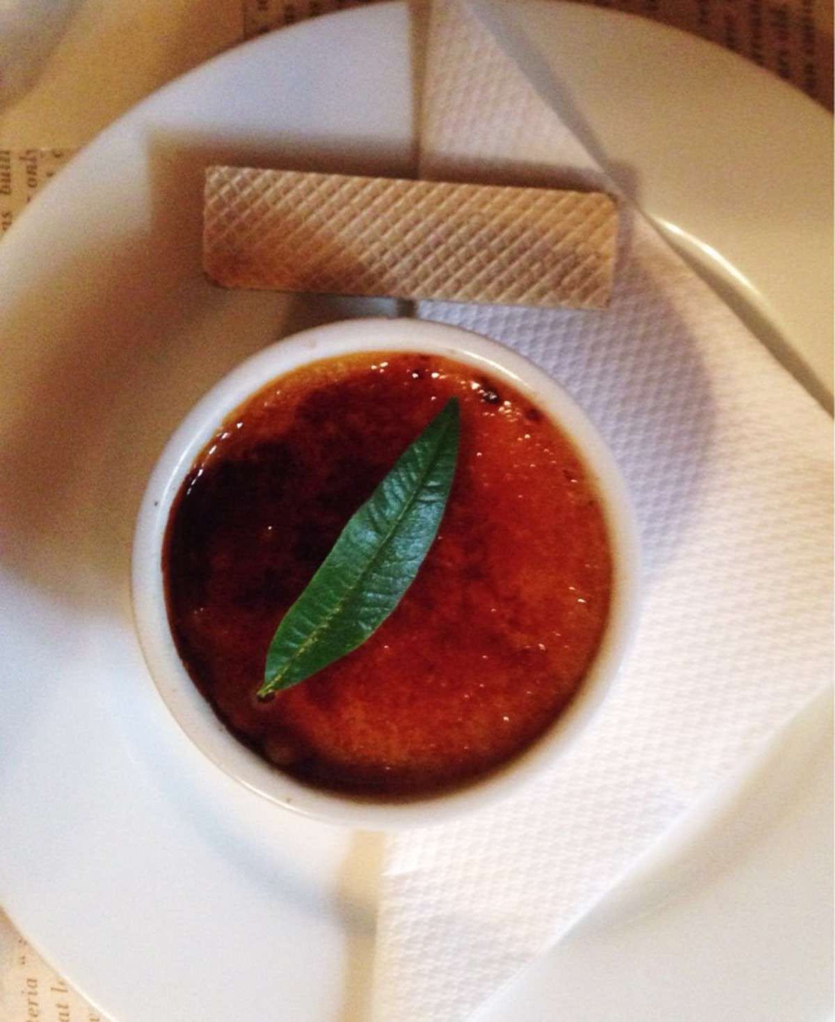 Accommodation Cooktown