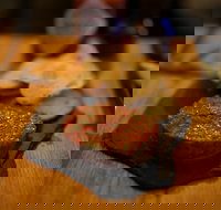 Hell of the North - Accommodation Cooktown