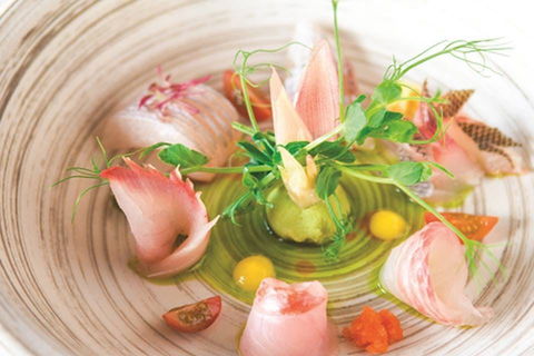 TARA SUSHI BAR - Accommodation Cooktown 0