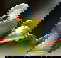 The Lillipad Cafe - Accommodation Cooktown