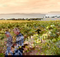 Boston Bay Wines - Accommodation Cooktown