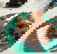 Sushi Bay - Penrith - Accommodation Cooktown