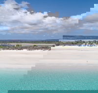 Remedy By Lonsdale St Roasters Belconnen - Accommodation Cooktown