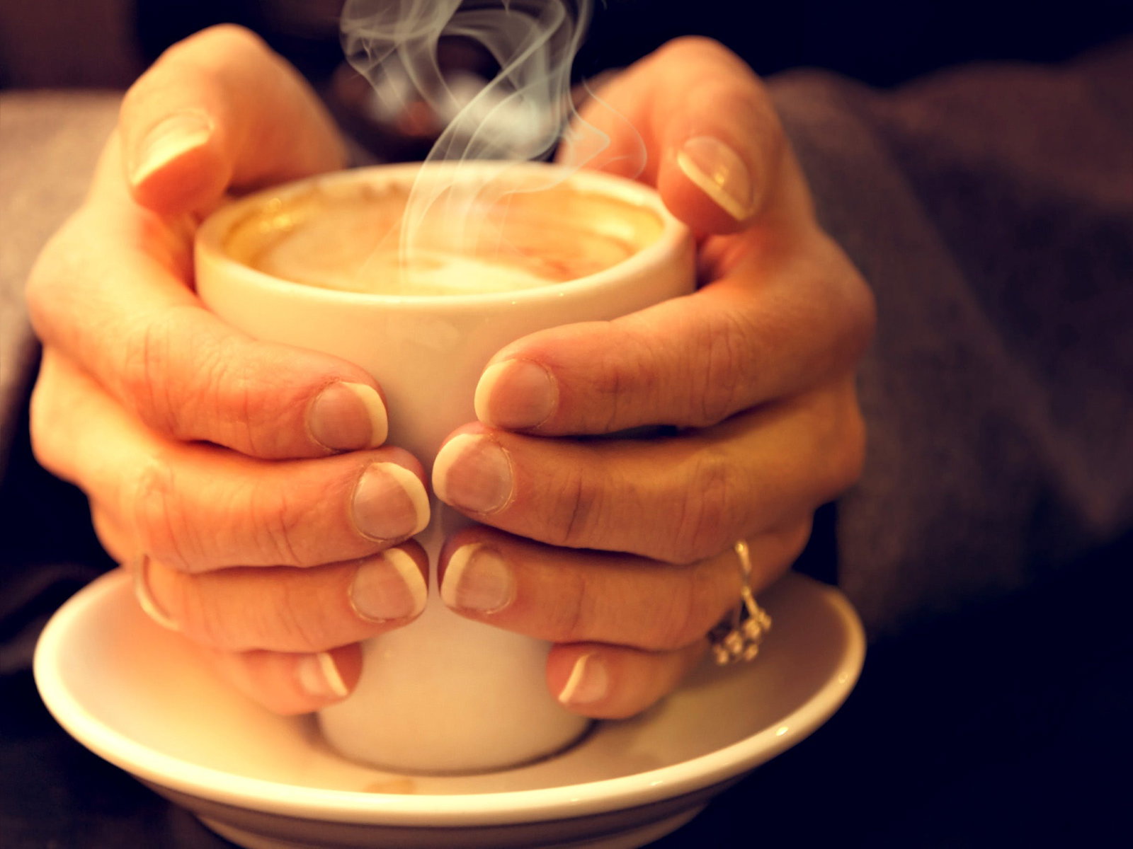  Accommodation Cooktown