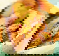 Mrs. Fields - Baldivis - Accommodation Cooktown