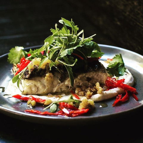 SaltVine - Accommodation Cooktown 0