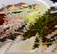 DuoTone - Accommodation Cooktown