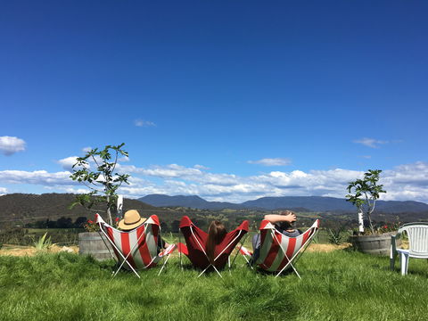 Red Feet Wines - Accommodation Cooktown 0