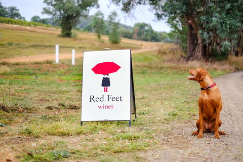 Red Feet Wines - Accommodation Cooktown 2