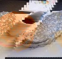 Steel Tree  Settlers - Accommodation Cooktown