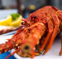 Freycinet Marine Farm - Accommodation Cooktown