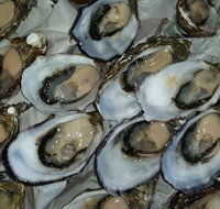Manly Fish Market - Accommodation Cooktown