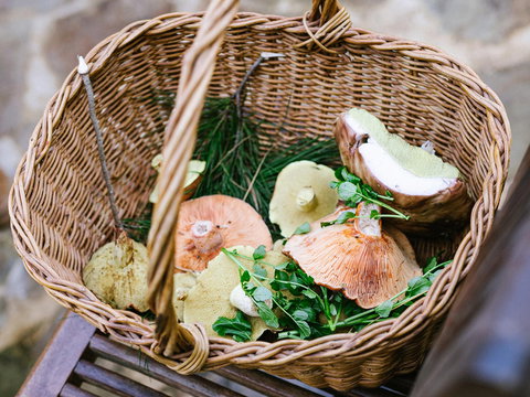 Villetta Porcini - Accommodation Cooktown 2