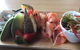Knickknack Cafe - thumb 0