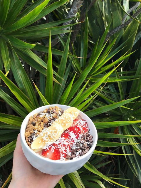 Red Cardinal Cafe And Catering - Accommodation Cooktown 0