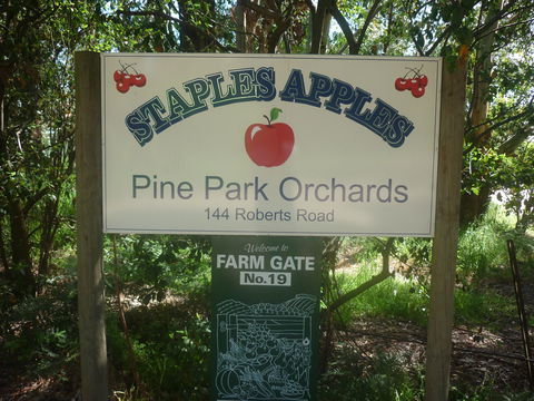 Staples Apples - Accommodation Cooktown 2