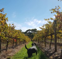 Ruddenklau Wines - Accommodation Cooktown