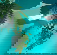 Upsy Daisy - Accommodation Cooktown