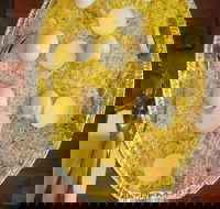 Swadesh - Accommodation Cooktown