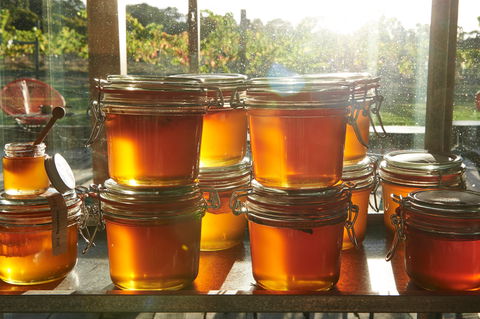 Barnyard1978 - Accommodation Cooktown 2